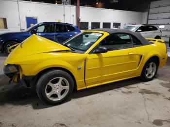  Salvage Ford Mustang