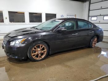  Salvage Nissan Maxima