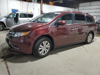  Salvage Honda Odyssey