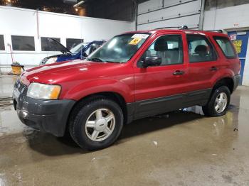  Salvage Ford Escape