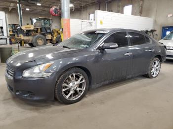  Salvage Nissan Maxima