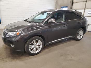 Salvage Lexus RX