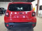 Jeep Renegade Trailhawk Image 4