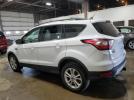 Ford Escape Sel Image 3
