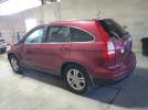 Honda Crv Exl Image 5
