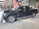 Ford F-150 Supercrew Image 1