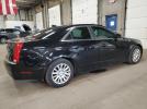 Cadillac CTS Luxury Collection Image 3