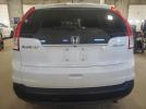Honda Crv Exl Image 7
