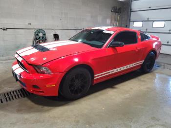  Salvage Ford Mustang