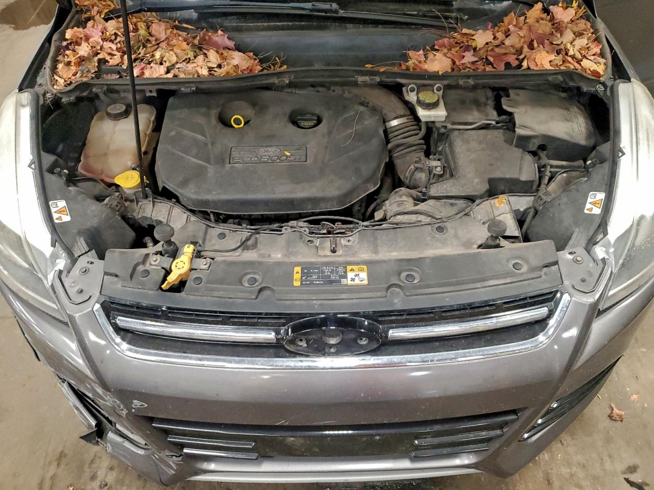 Ford Escape Titanium Image 9