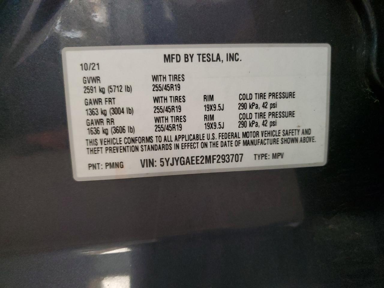 Tesla Model Y Image 5
