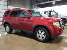 Ford Escape Xlt Image 10
