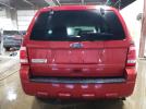 Ford Escape Xlt Image 5
