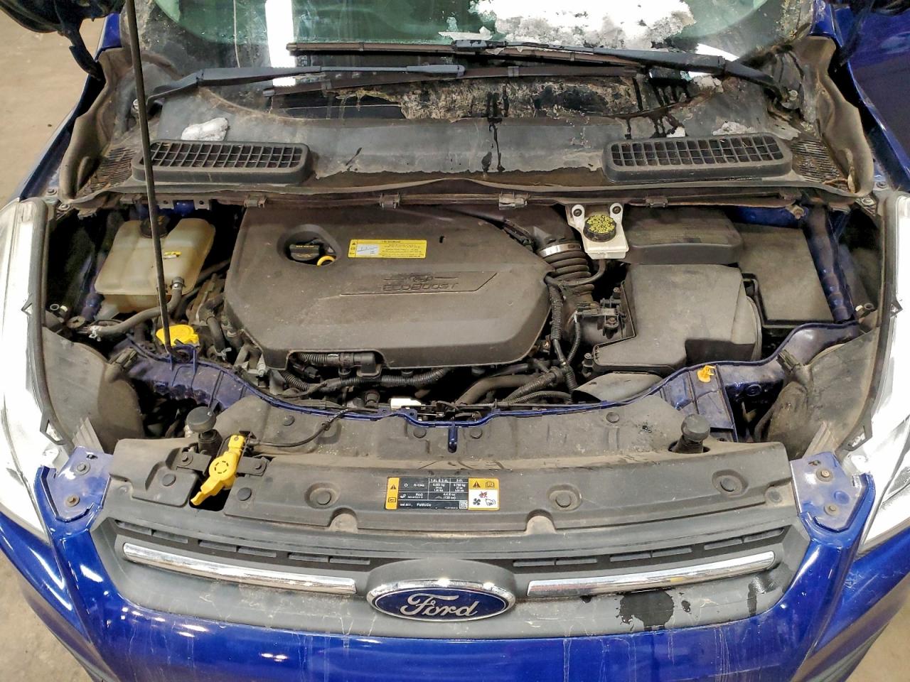 Ford Escape Se Image 13