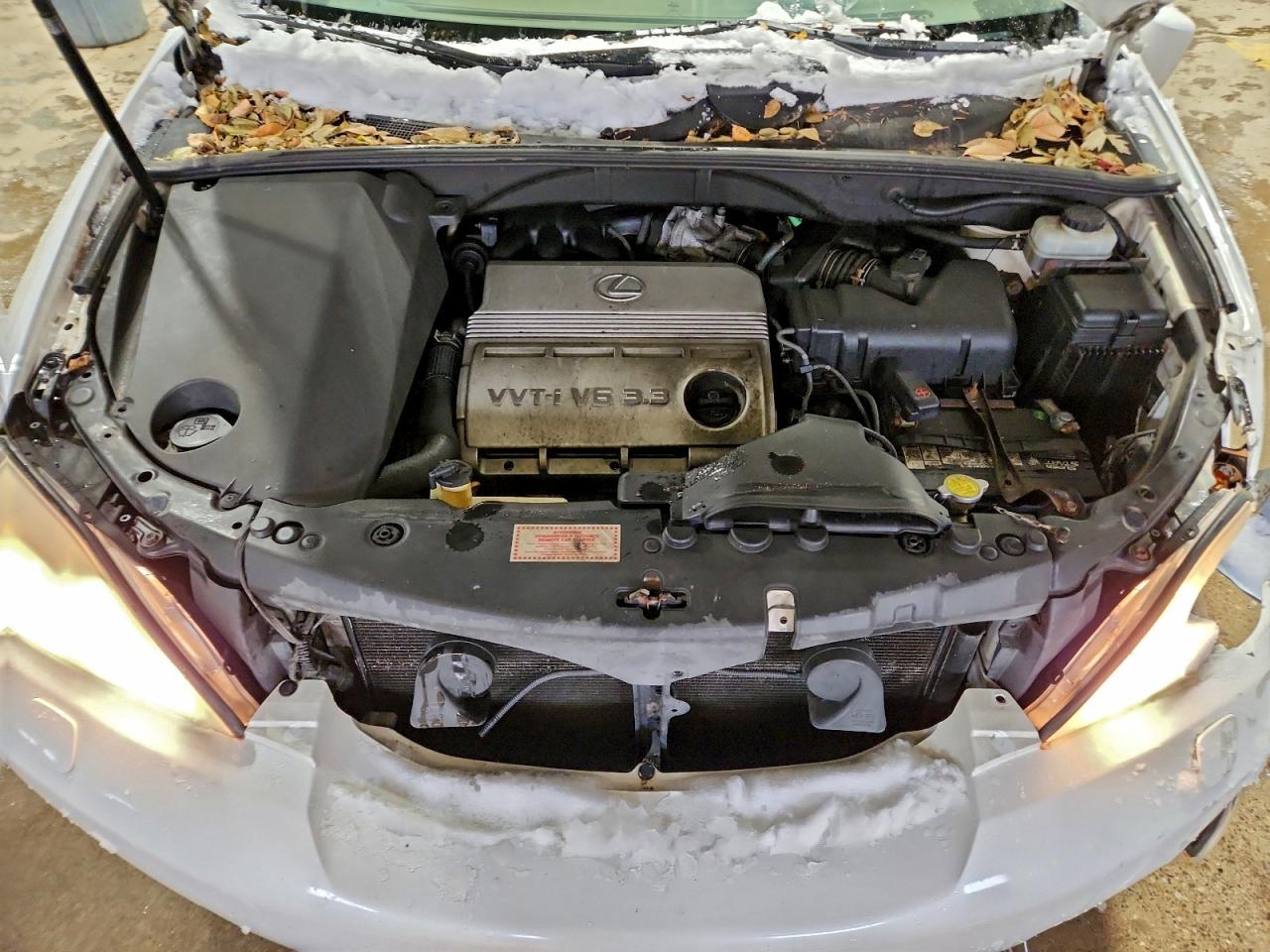 Lexus RX 330 Image 12