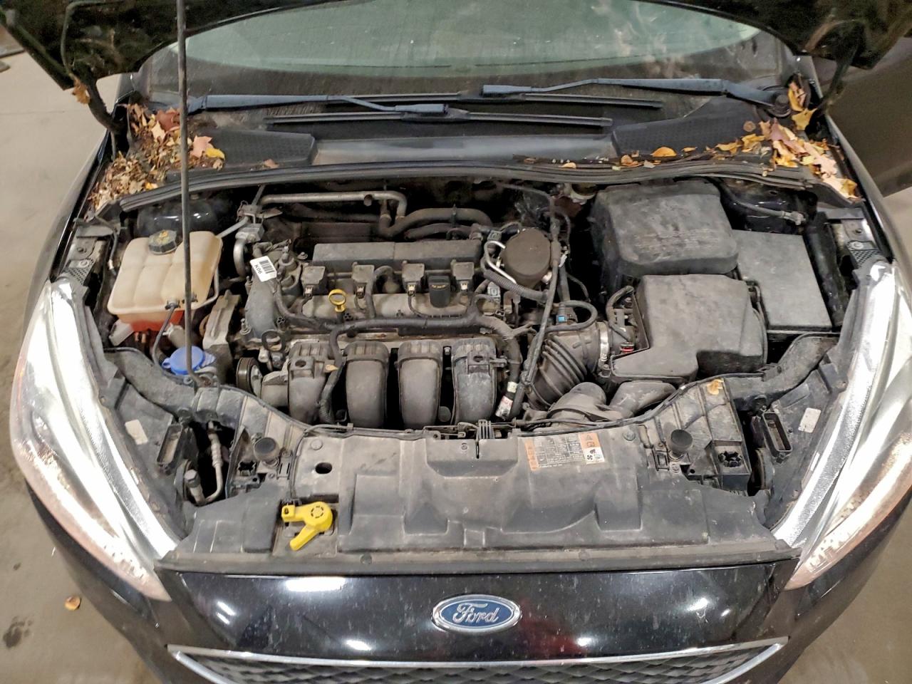 Ford Focus Se Image 11