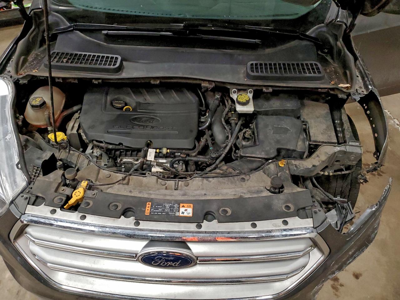 Ford Escape Se Image 8