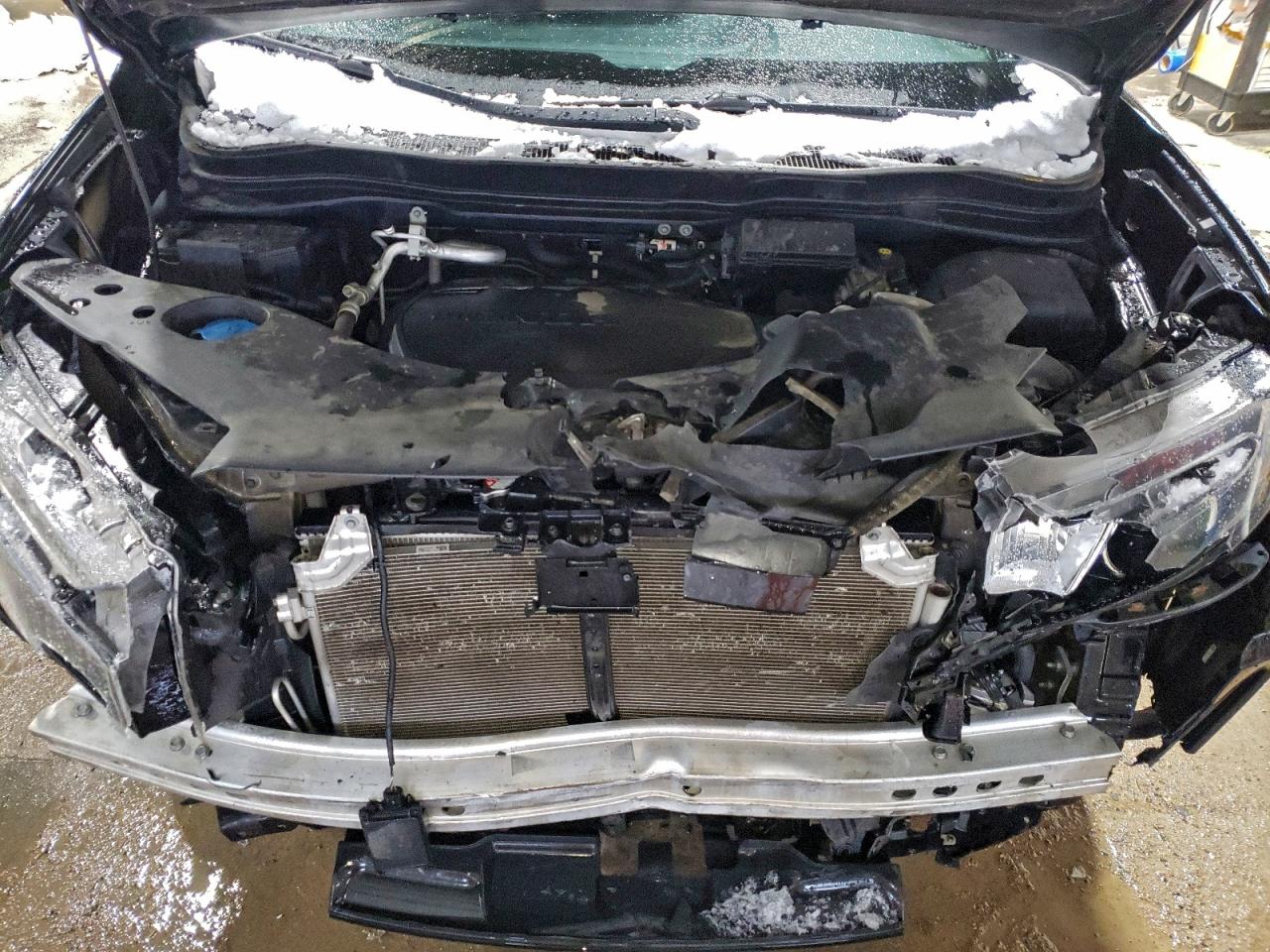 Honda Passport Trail Sport Image 13