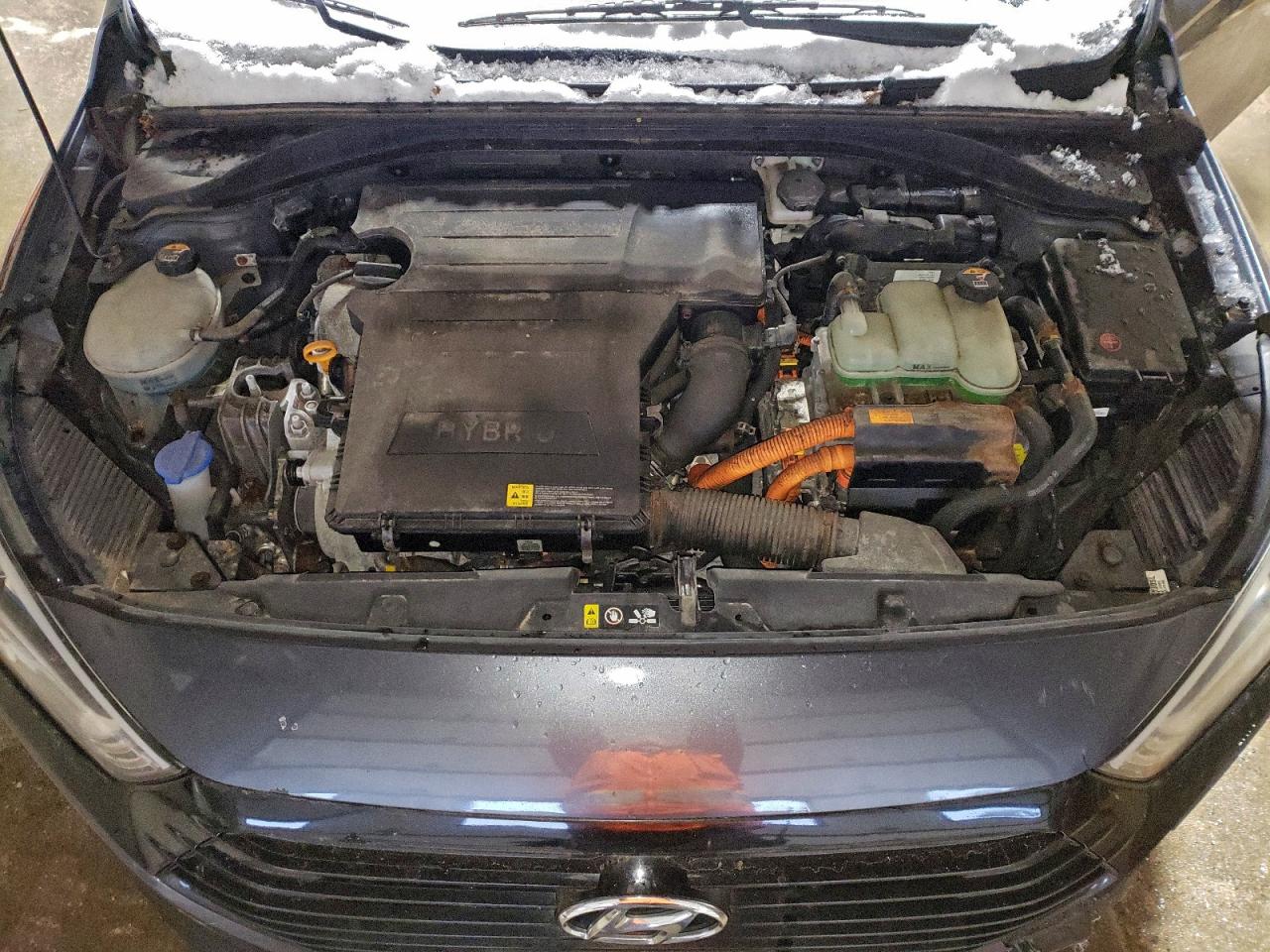 Hyundai Ioniq Blue Image 10