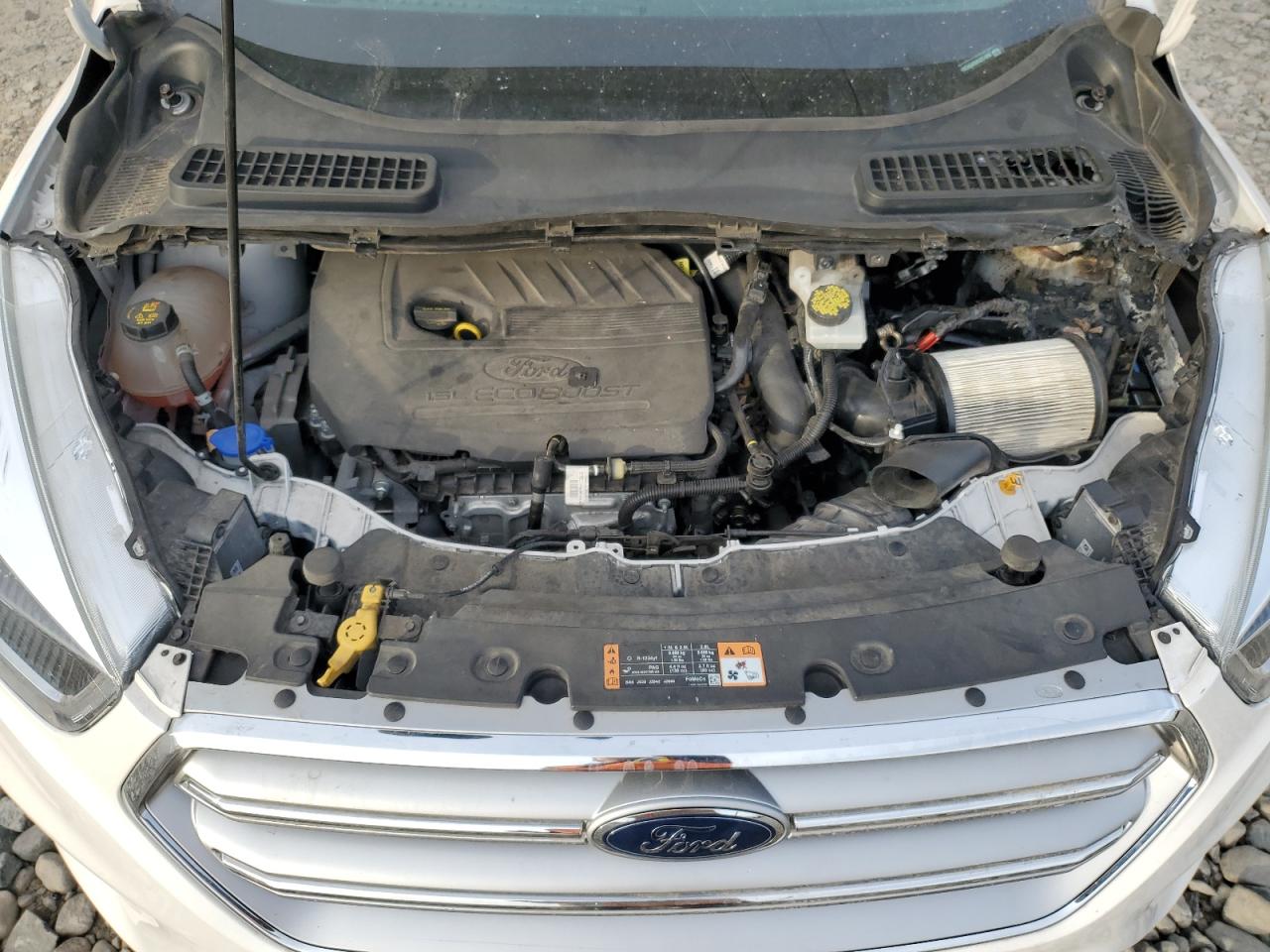 Ford Escape Titanium Image 9