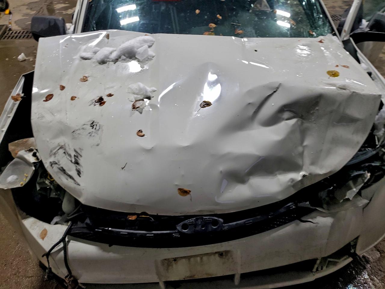 Ford Focus Se Image 9