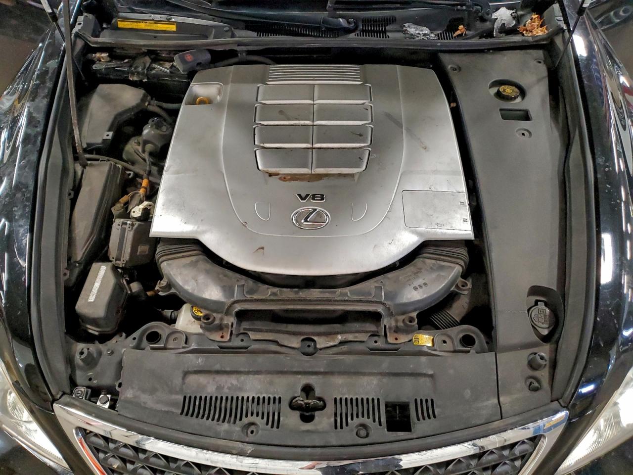 Lexus LS 460 Image 12