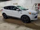 Ford Escape Se Image 7