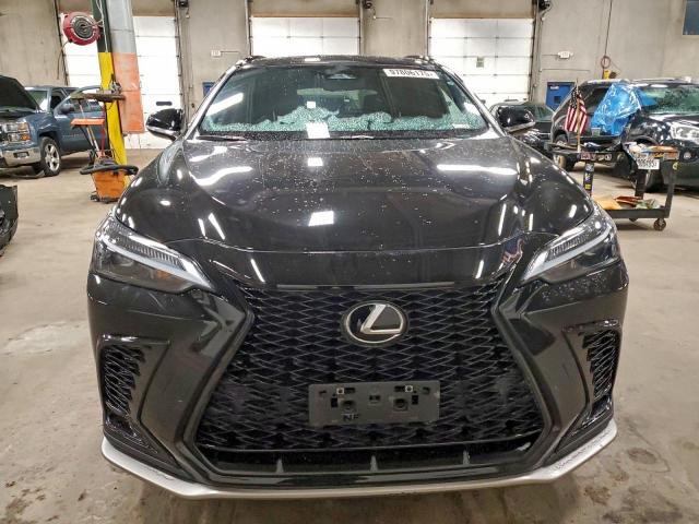 Lexus NX 350 Luxury Image 12