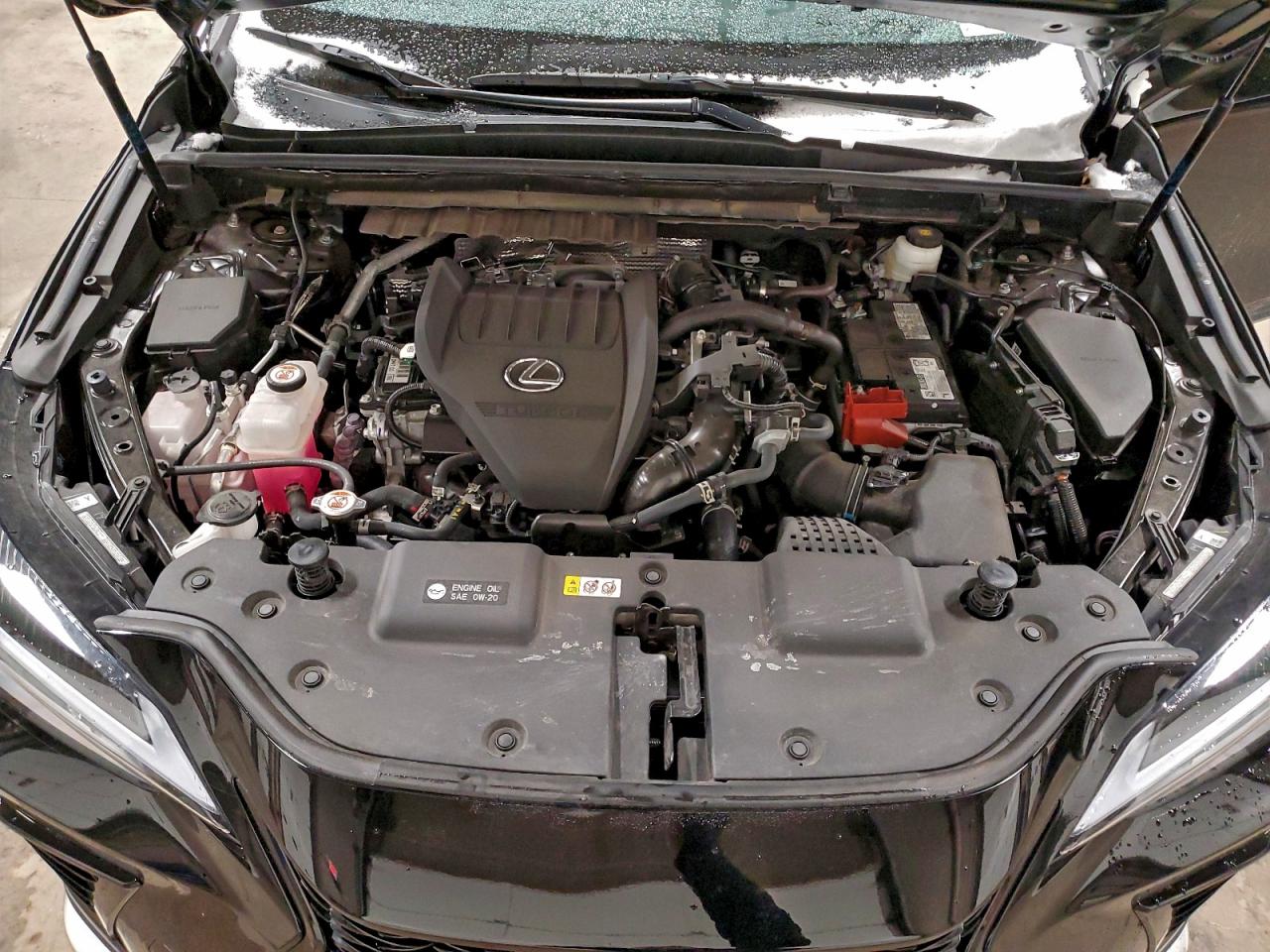 Lexus NX 350 Luxury Image 7